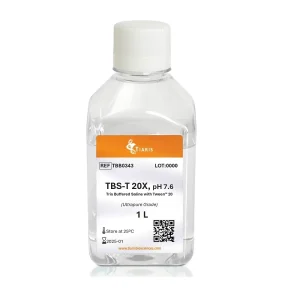 TBS with Tween 20 (TBS-T)