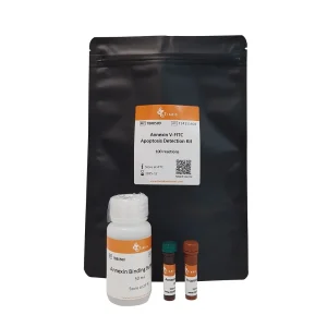 Annexin V-FITC Apoptosis Detection Kit
