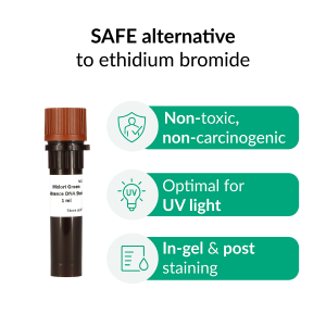 Midori Green Nucleic Acid Stains
